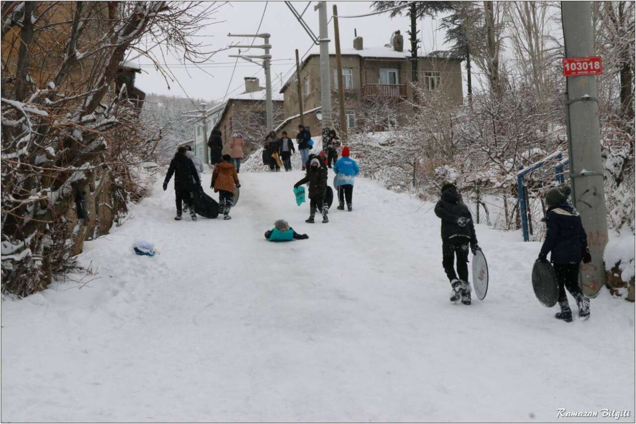 Konya’da hasret bitti, siniyi kapan sokağa çıktı 20